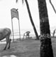 Goa, 1