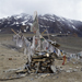 Ladakh, 1996
